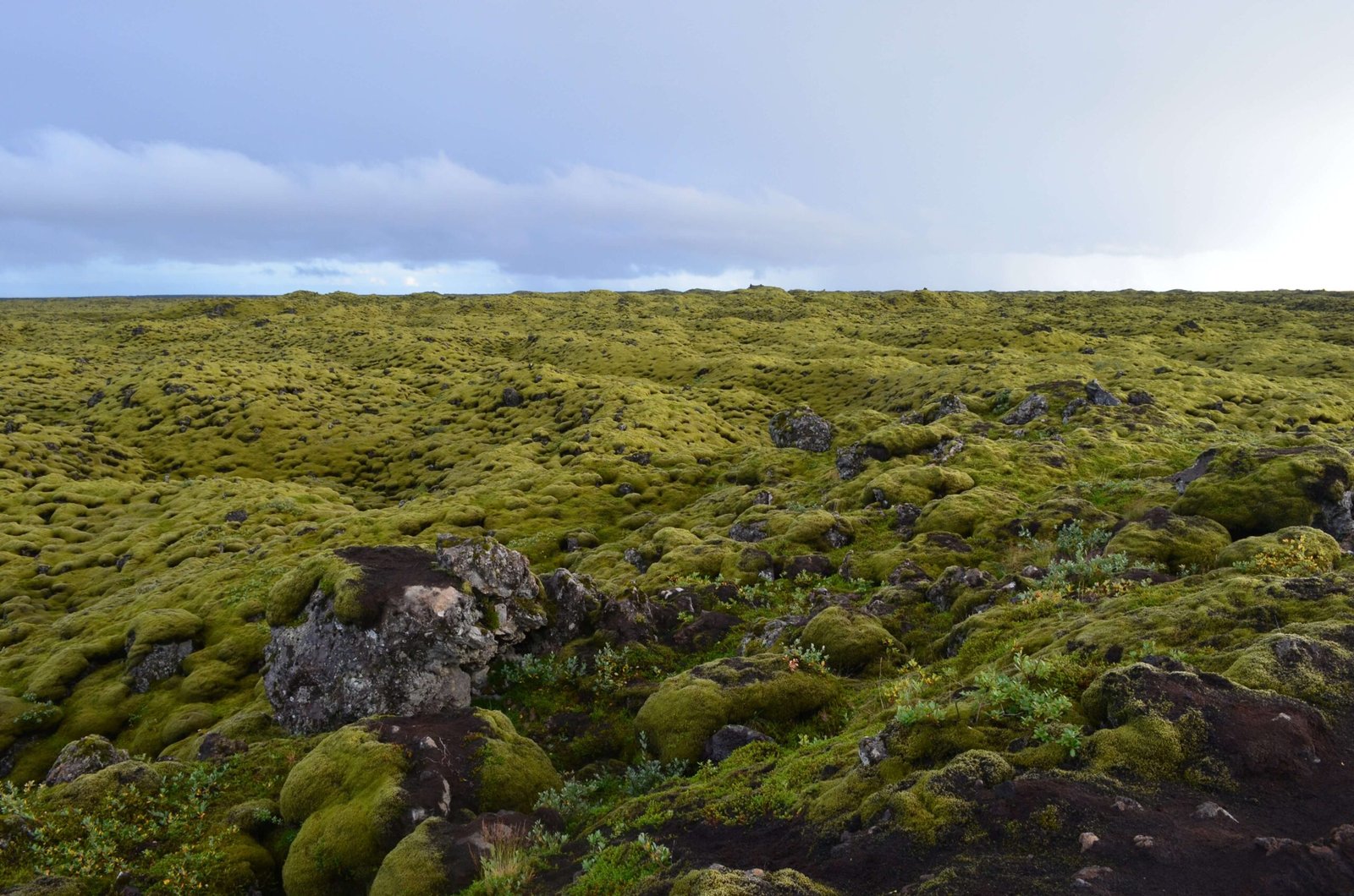 14 Breathtaking Views Of Iceland - Listing The BEST