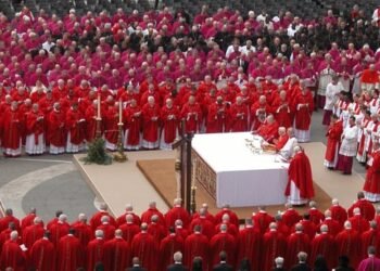 Who Will Be the Next Pope? Top 10 Cardinals to Become the Next Pope Who Will Be the Next Pope? Top 10 Cardinals to Become the Next Pope